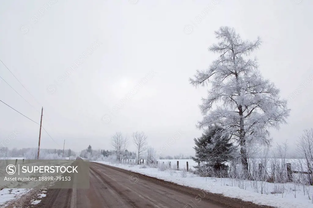 Country road in winter, thunder bay ontario canada