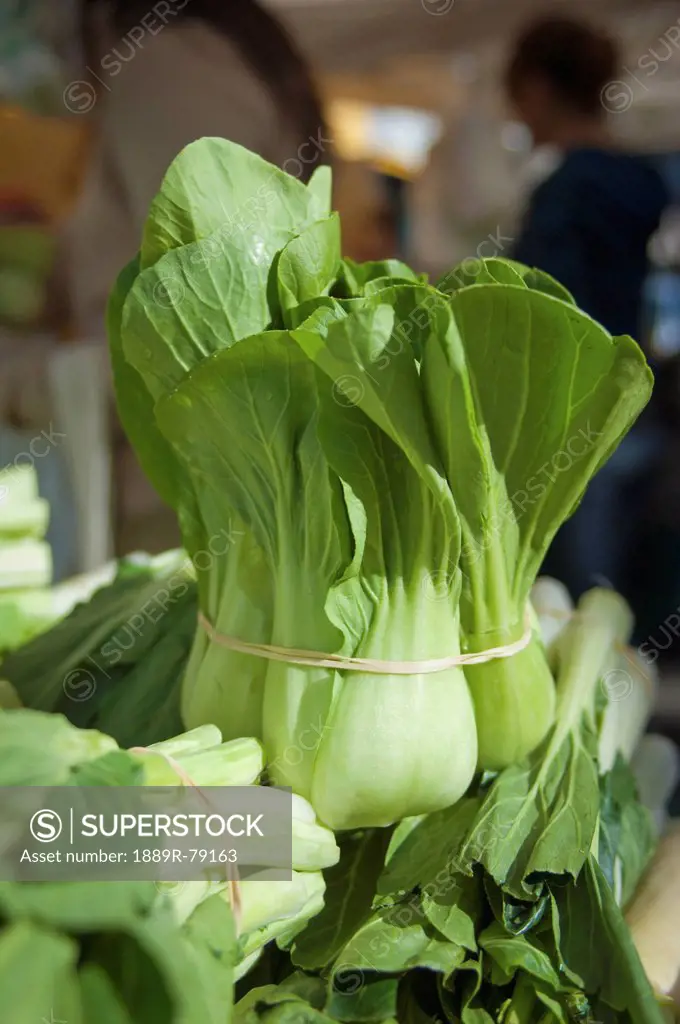 Bok Choy Standing Up At Farmers Market, Berkeley California United States Of America