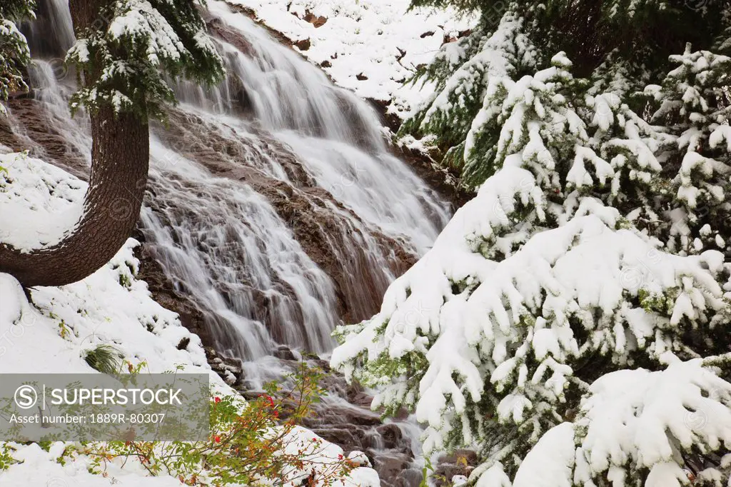 First snow in autumn along umbrella falls on mount hood in the oregon cascades, oregon, united states of america