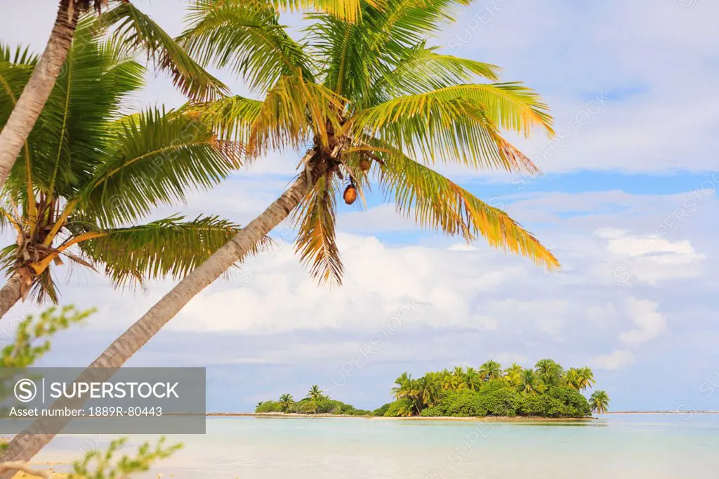 Tiny picnic island near south end, fakarava island tuamotus group french polynesia south pacific