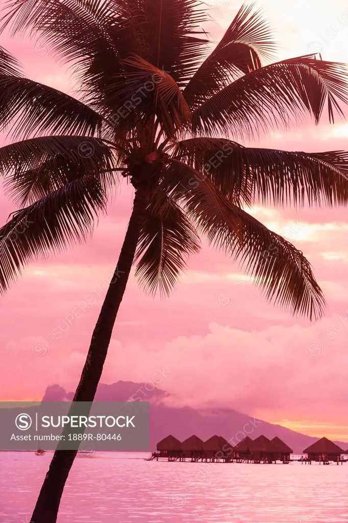 Sunset over moorea from sofitel maeva beach resort near papeete, tahiti nui society islands french polynesia south pacific