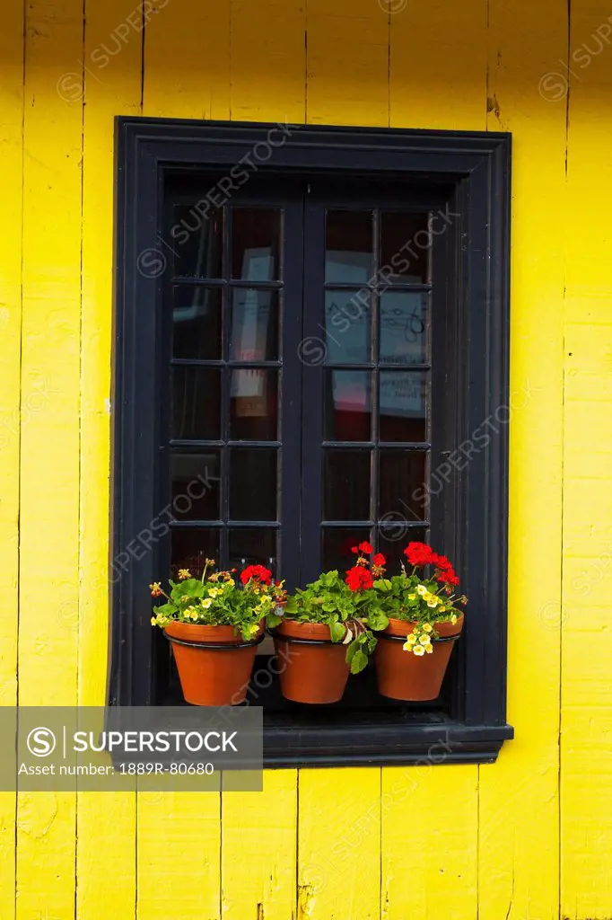 Flower pots on a window ledge, trois_rivieres quebec canada