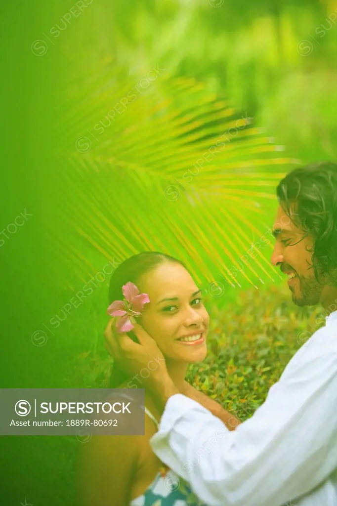 A man puts a flower in a woman´s hair at the bora bora nui resort and spa, bora bora island society islands french polynesia south pacific