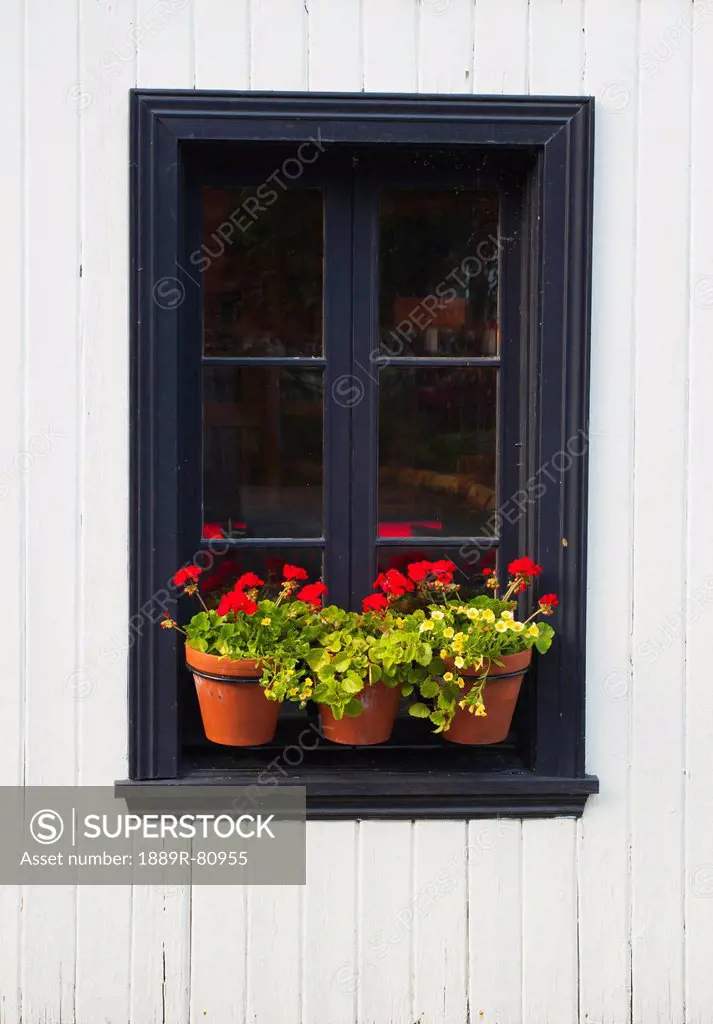 Flower pots on a window ledge, trois_rivieres quebec canada