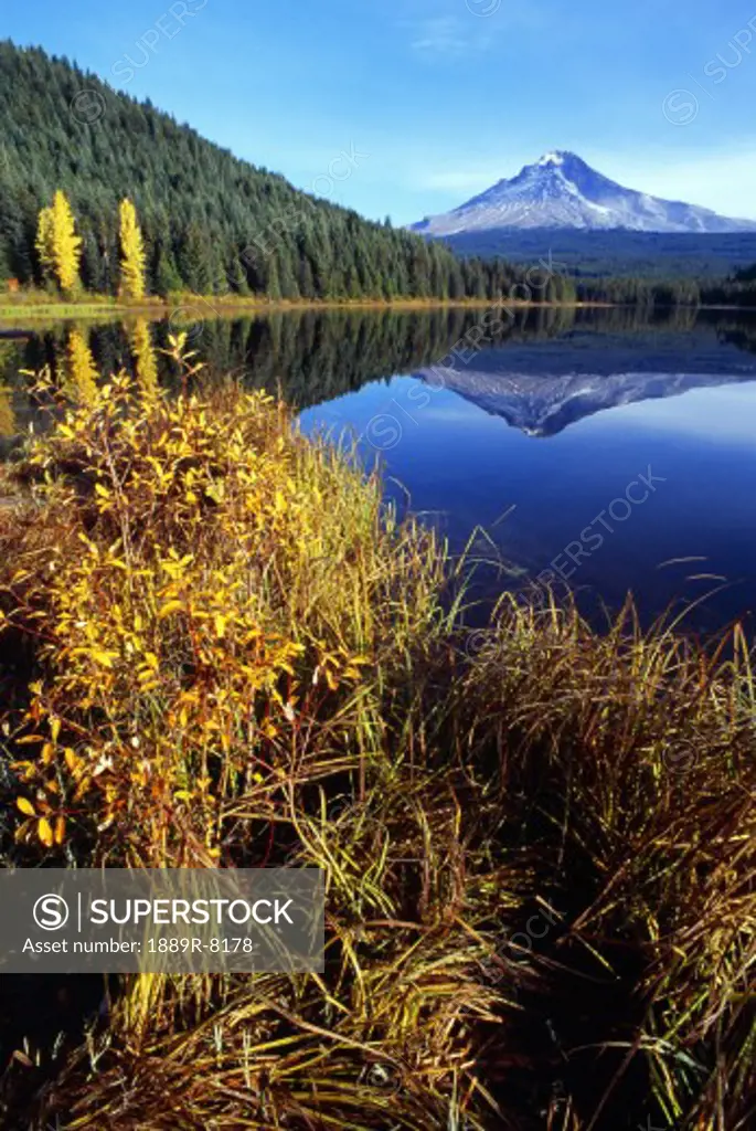 Trillium Lake and Mount Hood in Oregon, USA