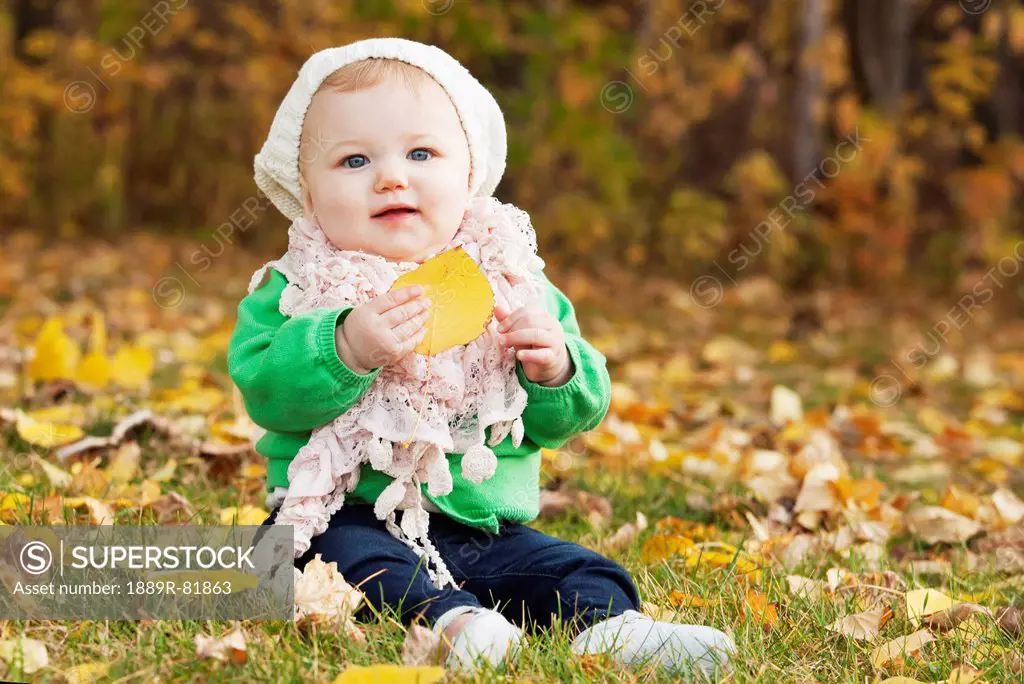 Portrait of an infant sitting on leaves on the ground in a park in autumn, edmonton, alberta, canada