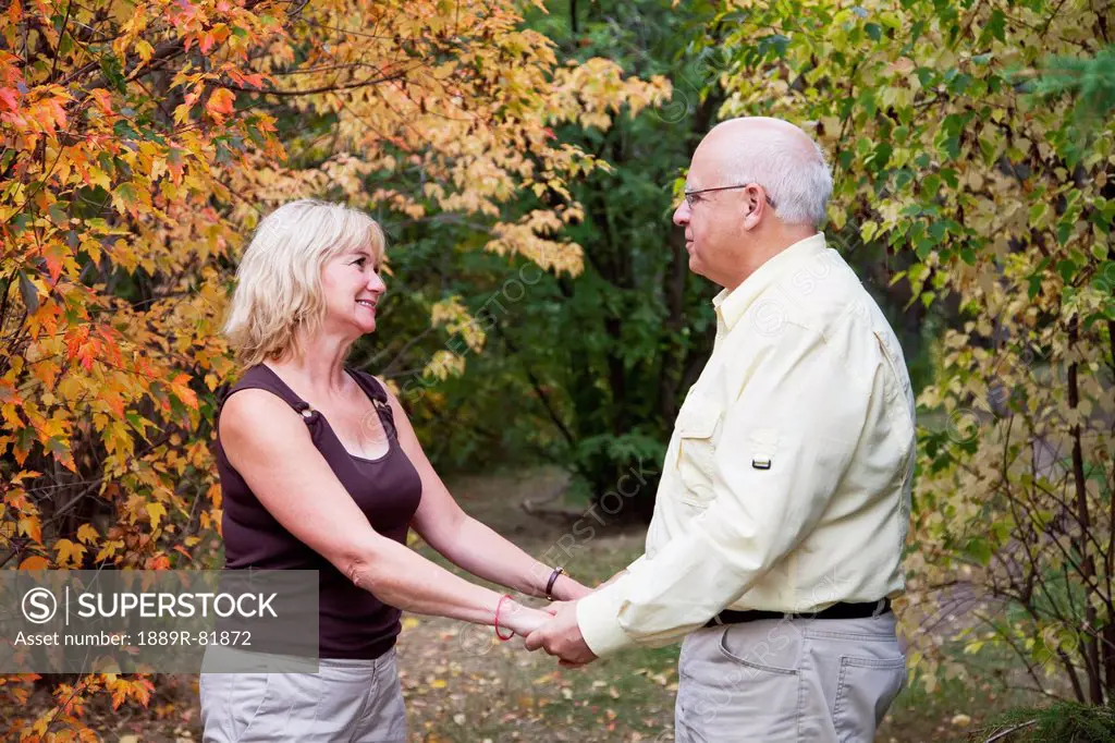 Mature married couple holding hands in a park in autumn, edmonton, alberta, canada