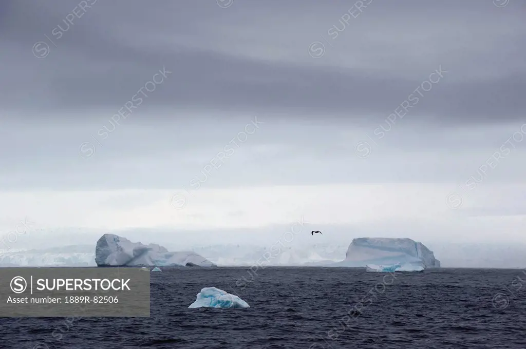 Icebergs in the southern ocean, antarctica