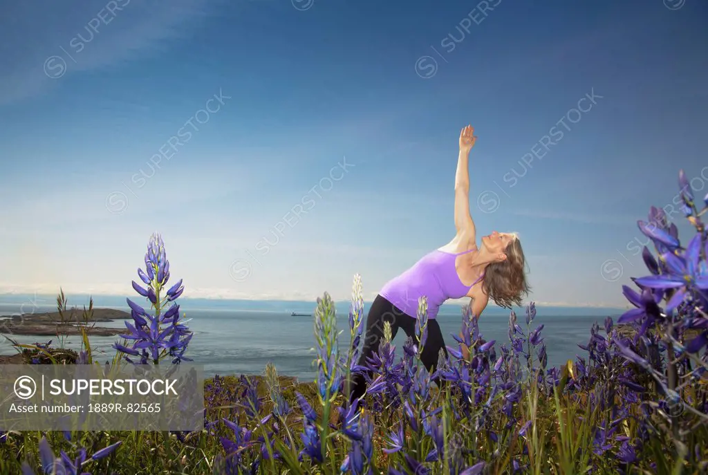 A fit senior woman does yoga in the flowers on the victoria waterfront on vancouver island, victoria british columbia canada