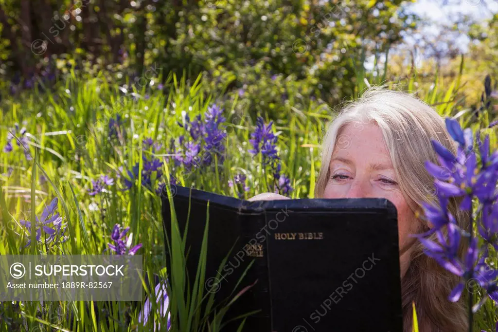 A senior woman reads the bible in a sea of camassia, victoria british columbia canada
