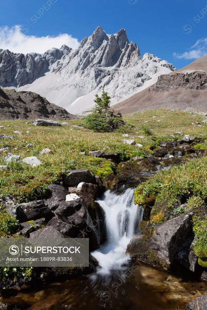 Small Waterfalls In Creek With Mountain Meadows And Mountains In The Backgroud With Blue Sky In Kananaskis Provincial Park, Alberta Canada