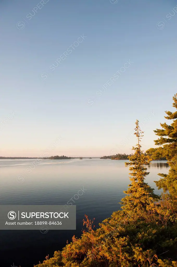 Lake view with trees at sunset on lake of the woods, kenora ontario canada
