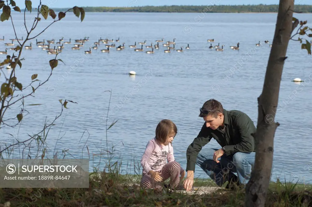 Father and daughter on the shoreline of lake winnipeg with canada geese in the background, winnipeg manitoba canada