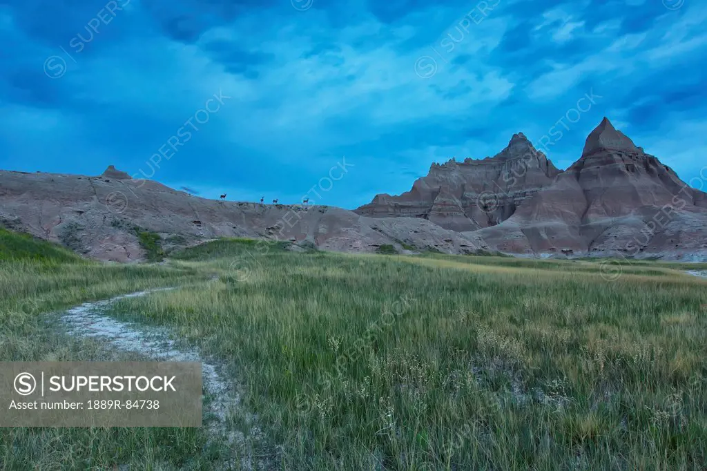 Early morning in badlands national park with deer on a ridge silhouetted against the brightening sky, south dakota united states of america