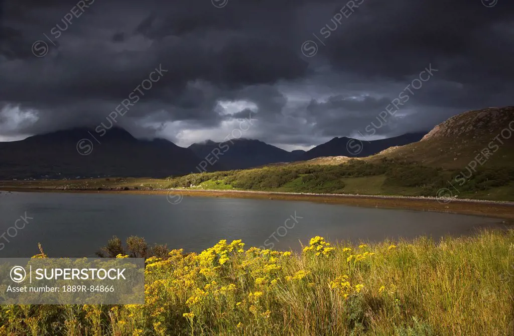 Dark Storm Clouds Hang Over The Landscape With Yellow Wildflowers Growing At The Water´s Edge, Highlands Scotland