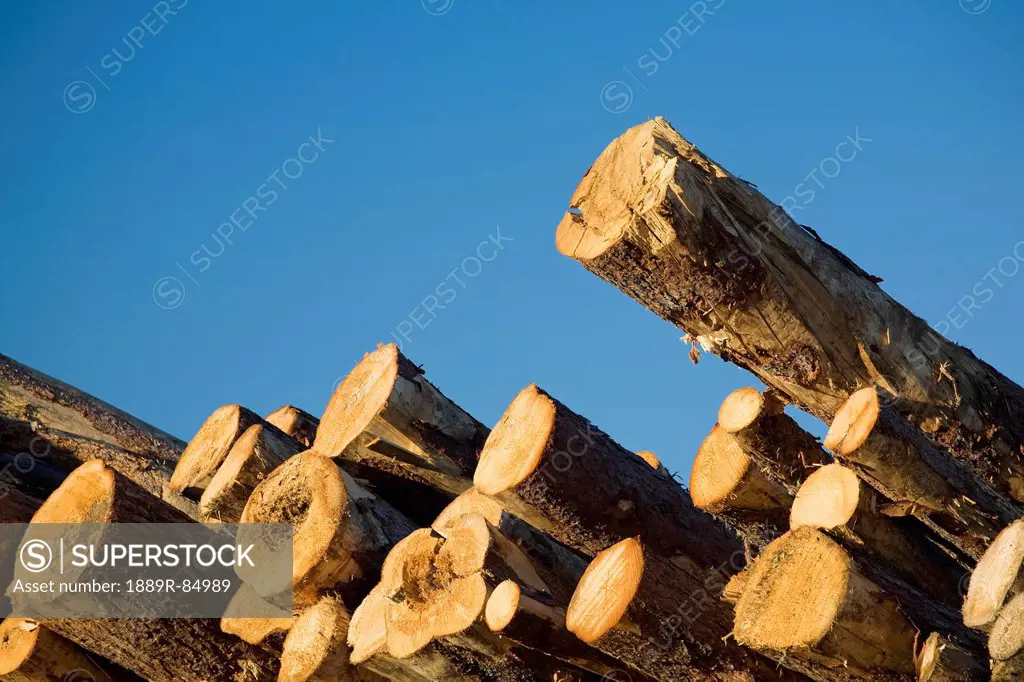 Detail of trees stacked on top of each other in a lumber yard with blue sky, calgary alberta canada