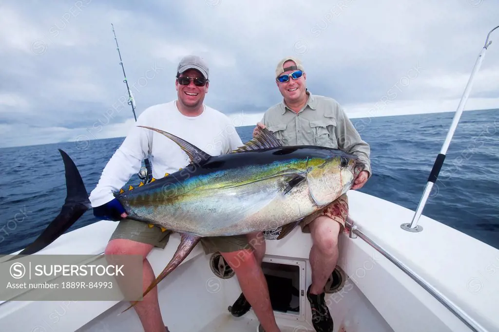 Men holding fresh caught yellowfin tuna, panama