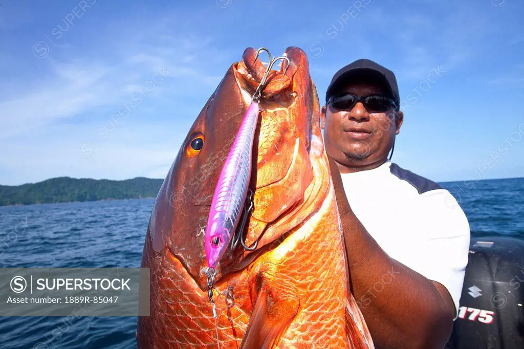 Man holding fresh caught cubera snapper lutjanus cyanopterus, panama