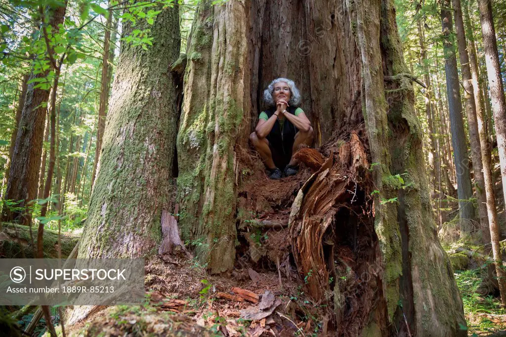 A senior woman in avatar forest on vancouver island near port renfrew, british columbia canada