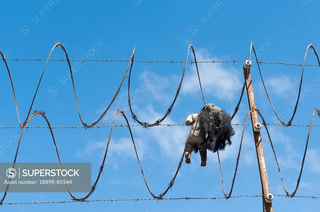 A Child´s Doll Hooked Onto Barbed Wire, Guatemala City Guatemala