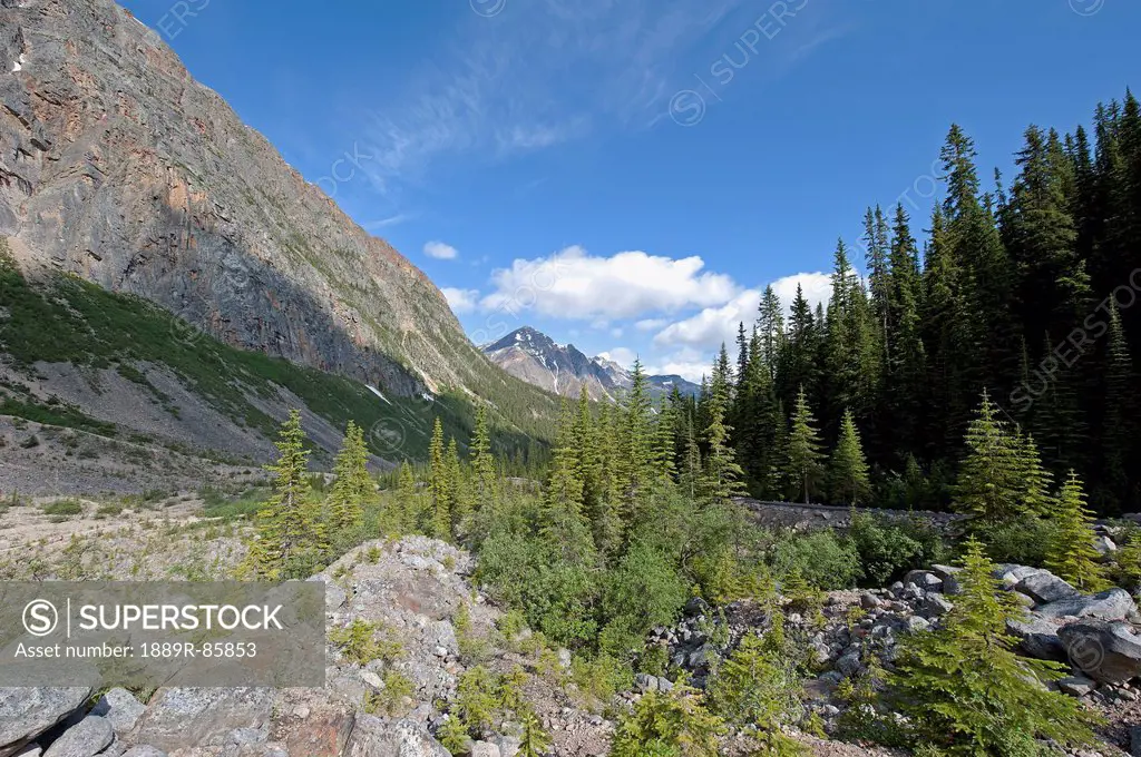 Mount Edith Cavell, Alberta Canada