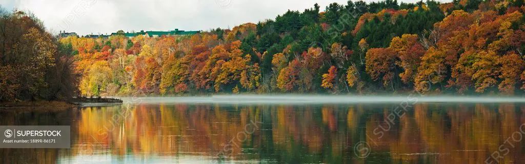 Autumn Coloured Trees Along The Shoreline Of A Lake, Maine United States Of America