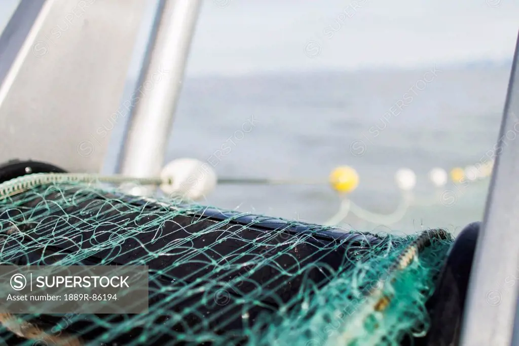 A Closeup View Of The Web Of A Salmon Fishing Gillnet As It Is Being Pulled In Over The Bow Copper River Flats, Cordova Southcentral Alaska United Sta...