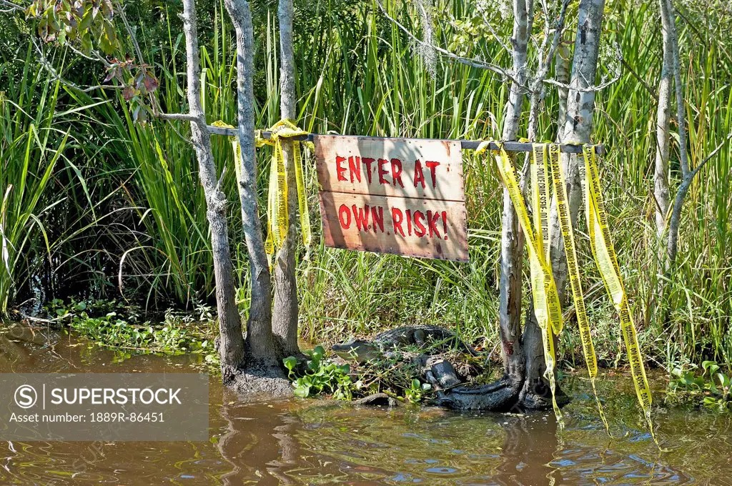 Alligator In The Water Under A Sign That Says Enter At Own Risk;New Orleans Louisiana United States Of America