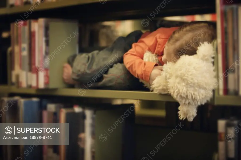 Toddler falls asleep in a book shelf