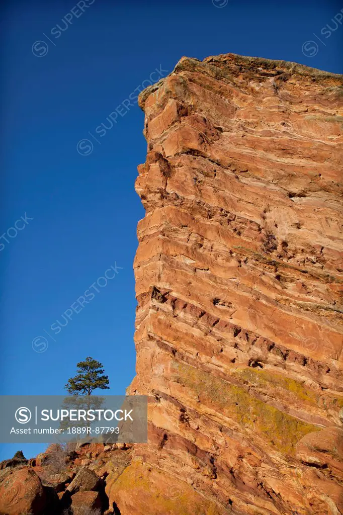 Solitary Tree Next To Red Rocks Bluff;Denver Colorado United States Of America