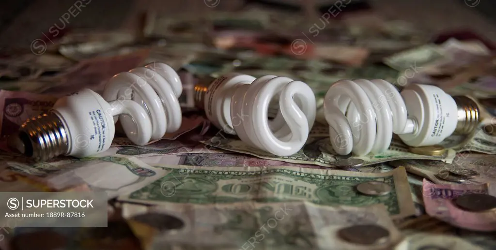 Compact Florescent Lightbulbs Sitting On American Money