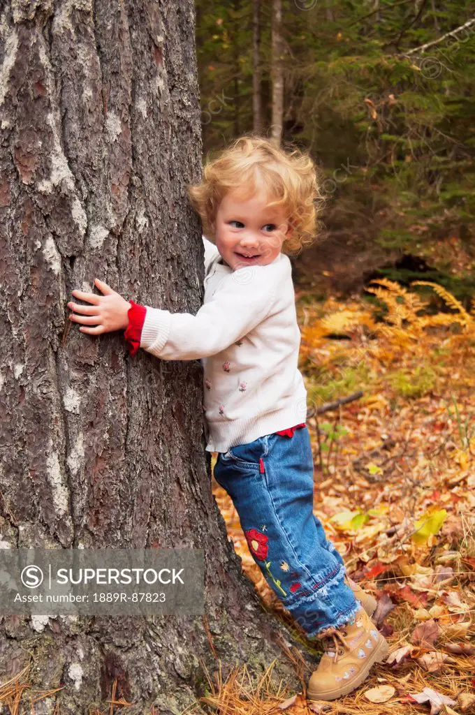 A Young Child Hugs A Large Tree Trunk;Mount Desert Island Maine United States Of America