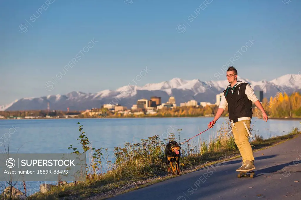Teenage boy riding his skateboard while being pulled by his rottweiler dog on the tony knowles coastal trail at sunset;Anchorage alaska united states ...