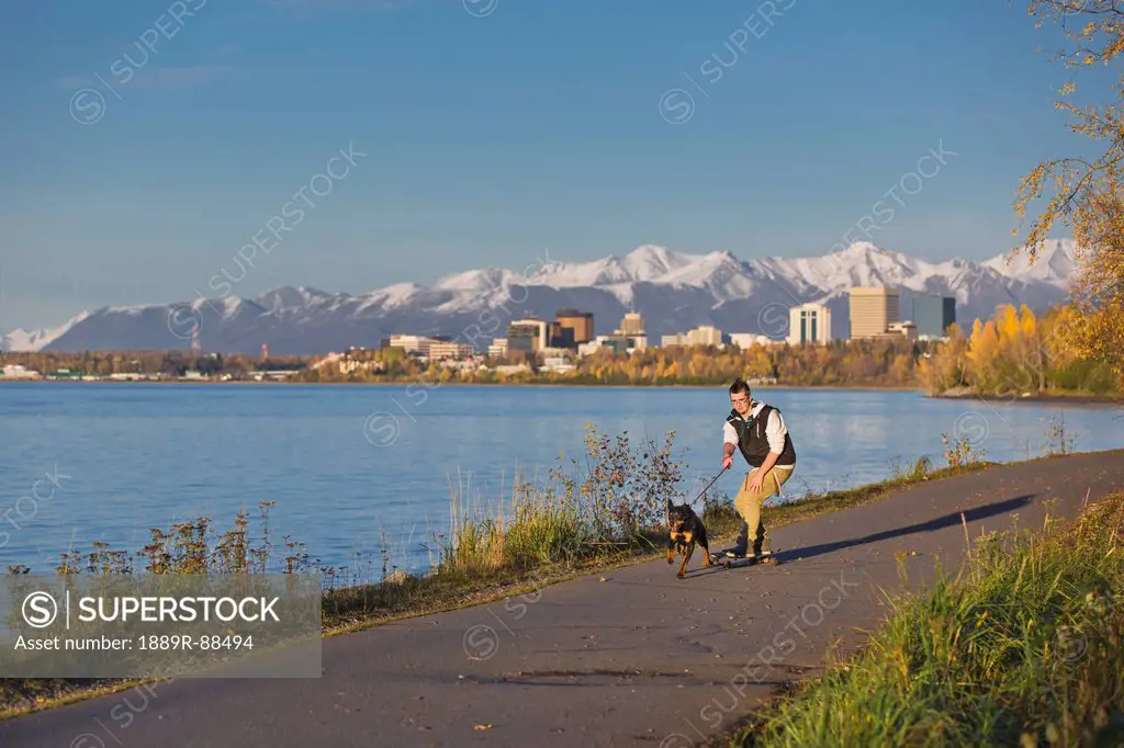 Teenage boy riding his skateboard while being pulled by his rottweiler dog on the tony knowles coastal trail at sunset;Anchorage alaska united states ...