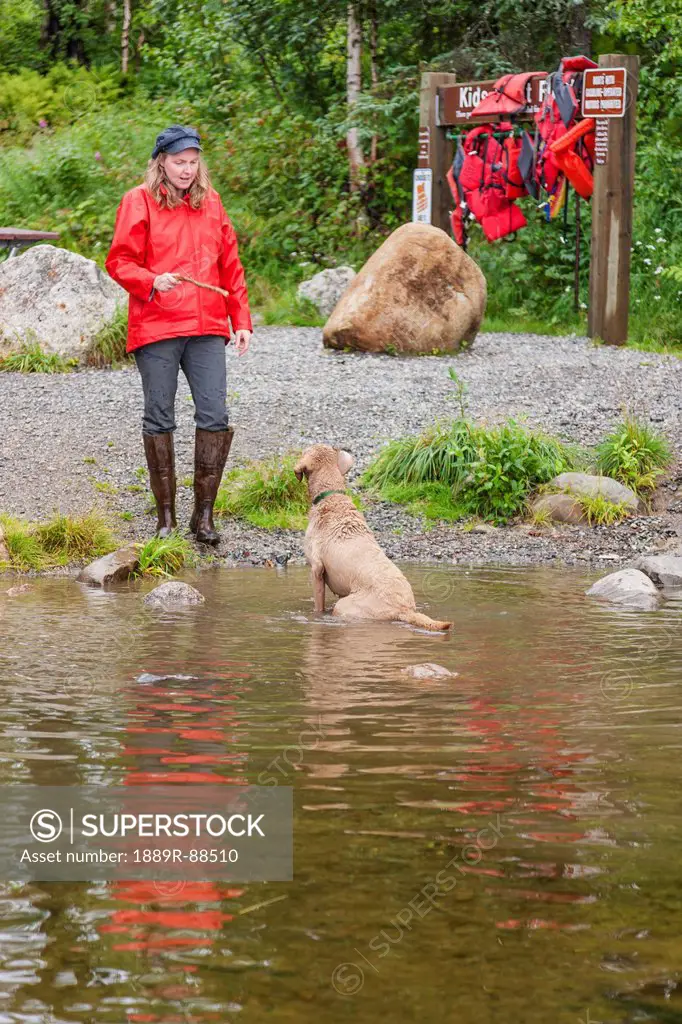 A woman holding a stick to throw for a male chesepeak bay retriever who is waiting in byers lake to retrieve it in campground denali state park;Alaska...