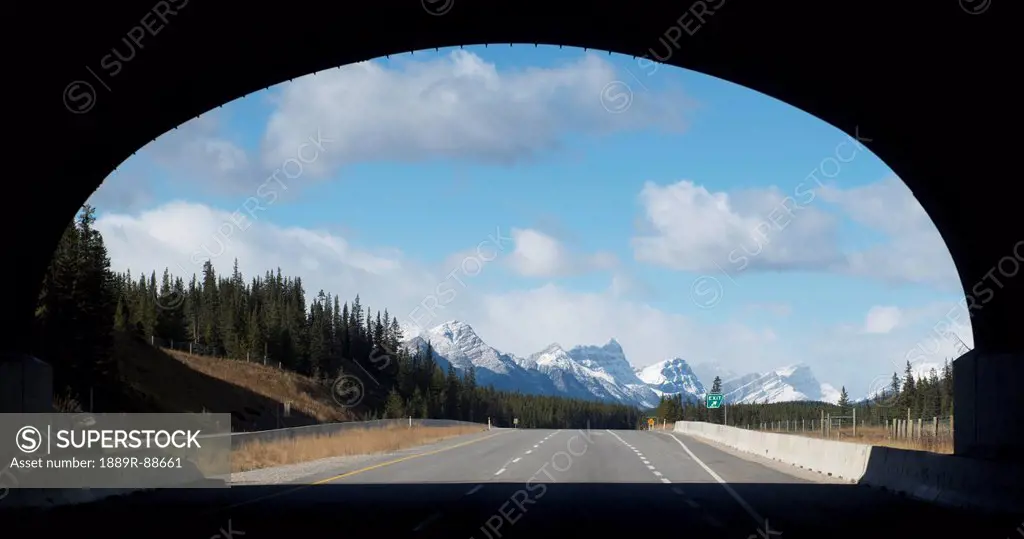 Wildlife tunnel over a highway in banff national park;Banff alberta canada