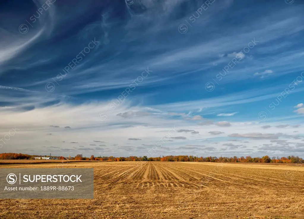 Farmland near london;Ontario canada