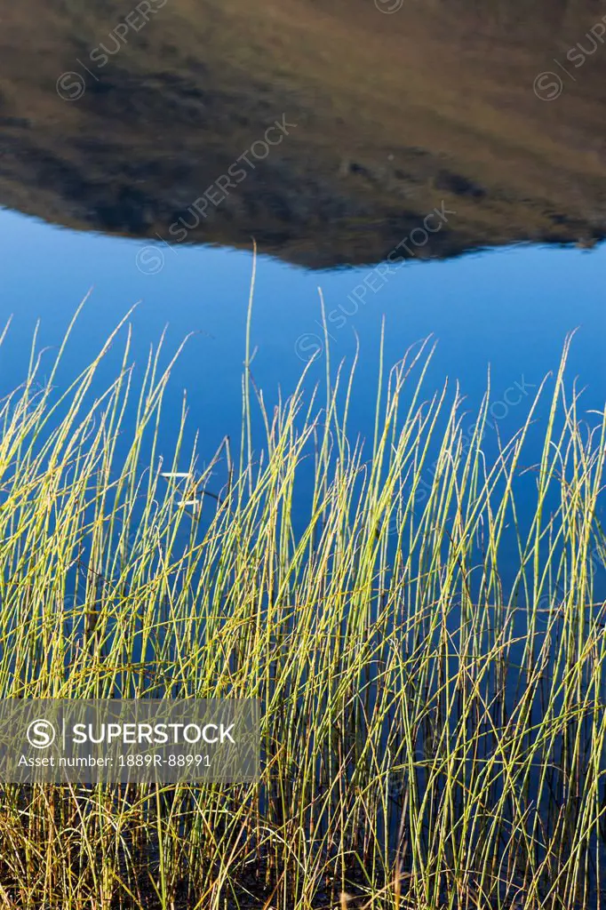 A mountain in the brooks range and blue sky reflected in the noatak river gates of the arctic national park northwestern alaska;Alaska united states o...