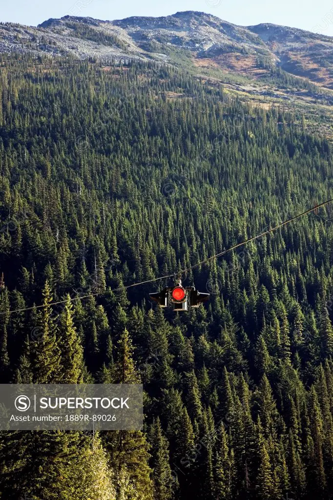 A red traffic light hung on a cable above a forest;Alberta canada
