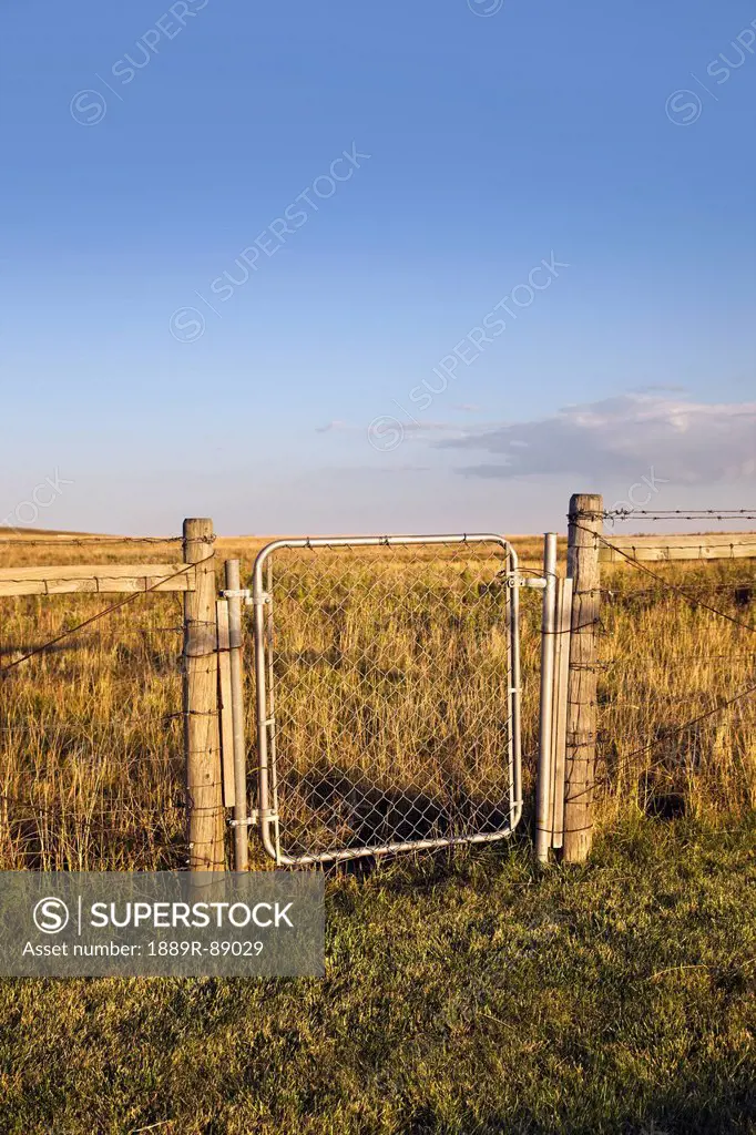A gate on a fence in a field;Saskatchewan canada