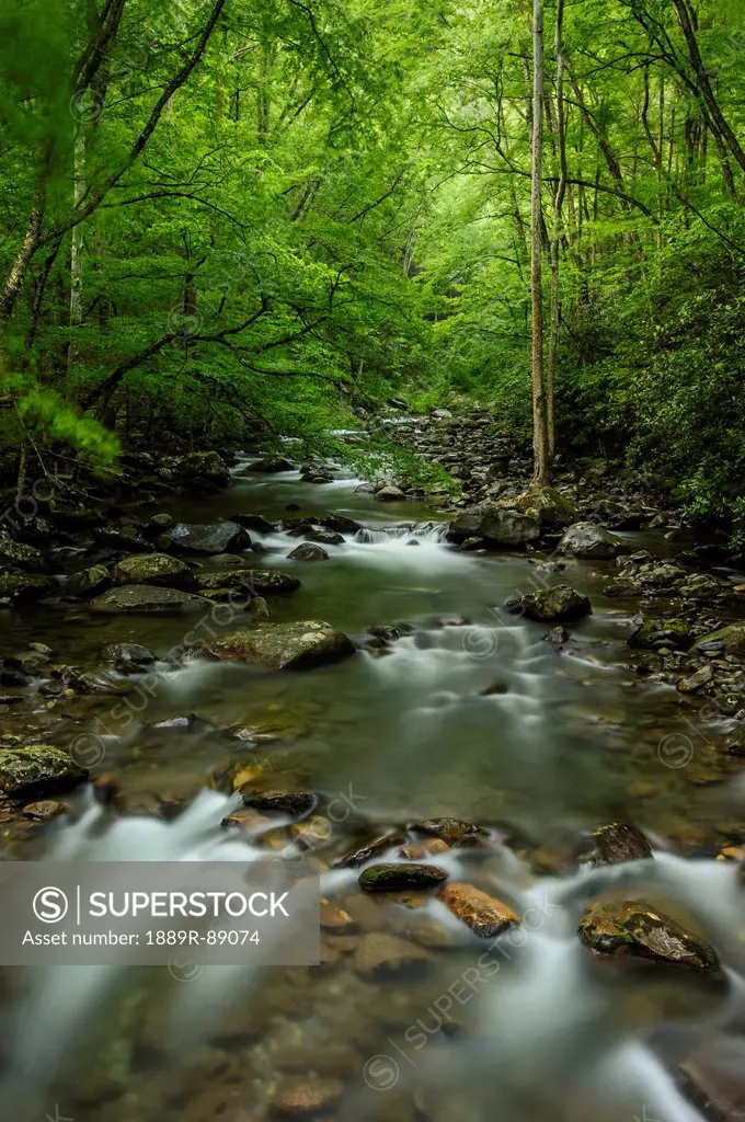 A river running through great smoky mountains national park;Tennessee united states of america