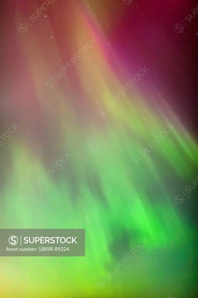A green and red northern lights corona in the sky above the tony knowles coastal trail in winter;Anchorage alaska united states of america