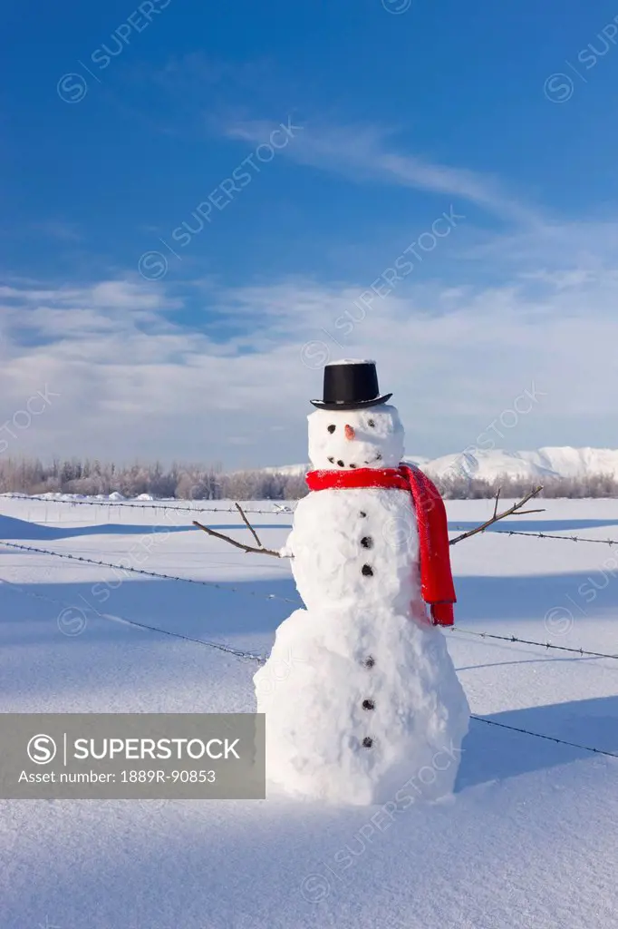 Snowman wearing a red scarf and black top hat standing in fresh snow on a sunny day;Palmer alaska united states of america