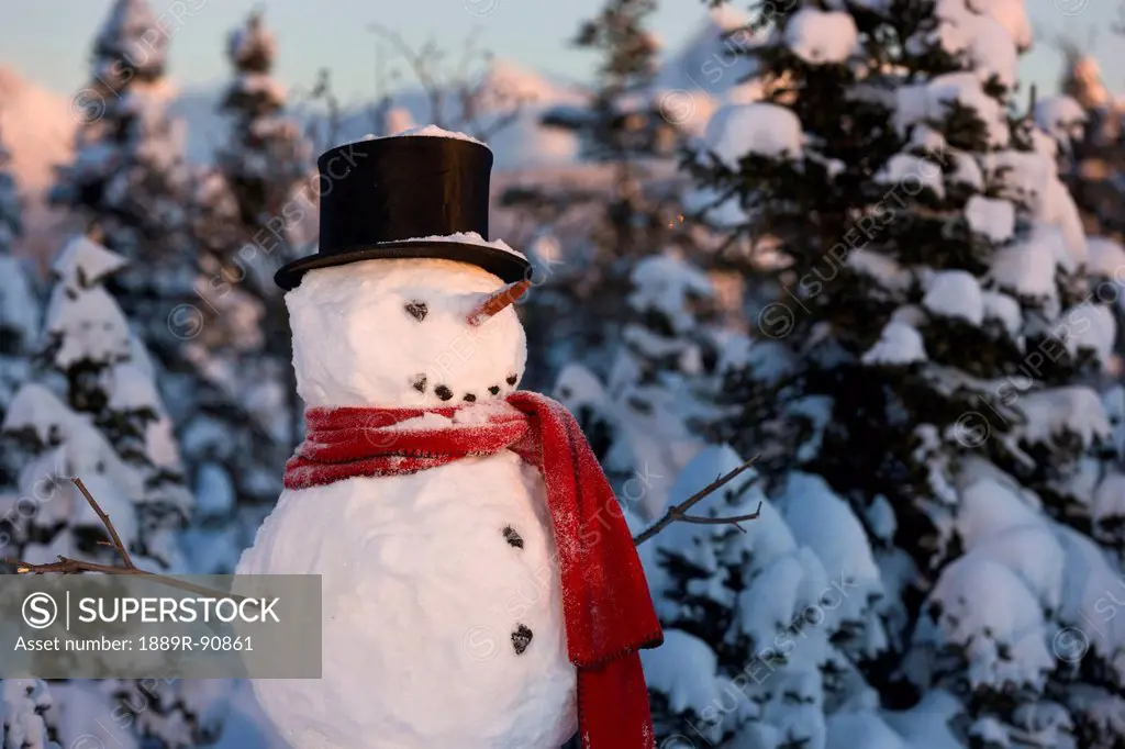 Snowman wearing a red scarf and black stovepipe hat standing in front of a snow covered spruce forest in winter;Anchorage alaska united states of amer...