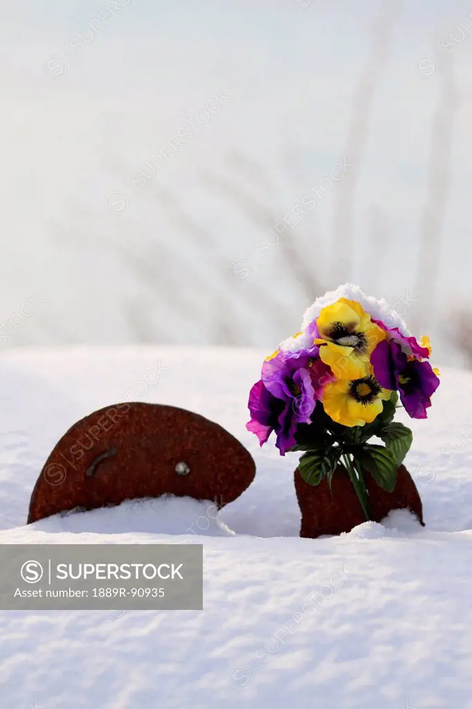 Snow piles up on a metal sea otter garden sculpture clasping silk pansy flowers between its paws;Kodiak island alaska united states of america