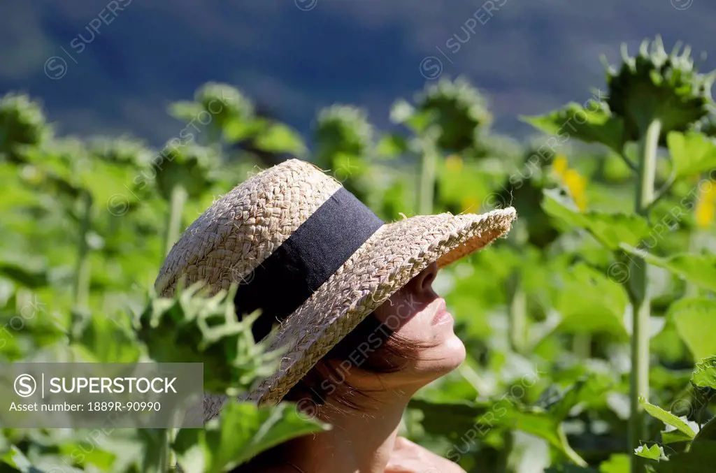 A woman wearing a sunhat stands in a field full of tall sunflowers;Locarno ticino switzerland