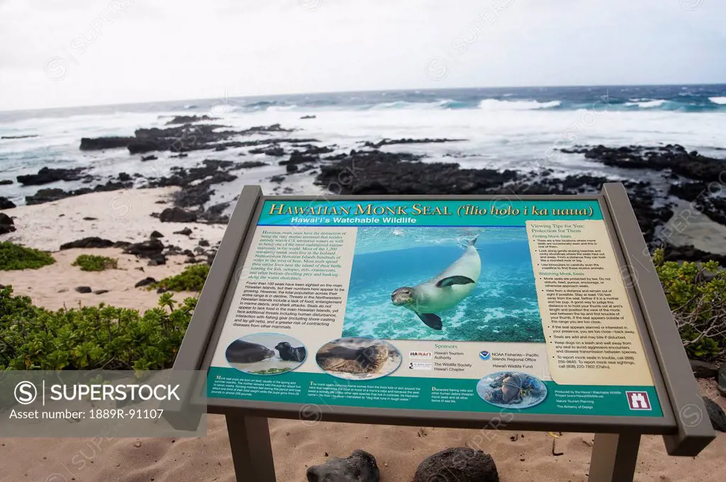An informational sign to teach about the nearby hawaiian monk seals;Honolulu oahu hawaii united states of america