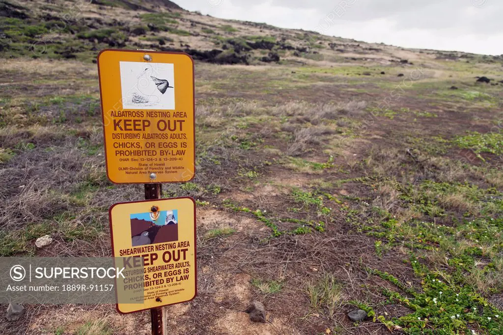 A sign warning people to stay out of the nearby albatross and shearwater nesting areas;Honolulu oahu hawaii united states of america