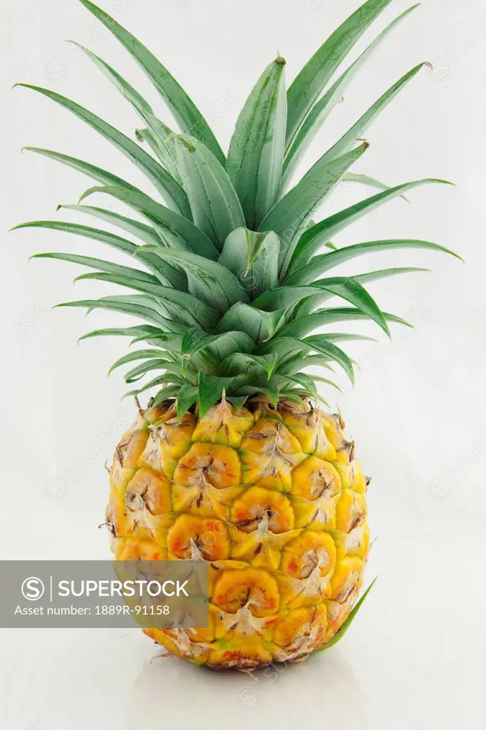 A fresh pineapple on a white background;Hawaii united states of america