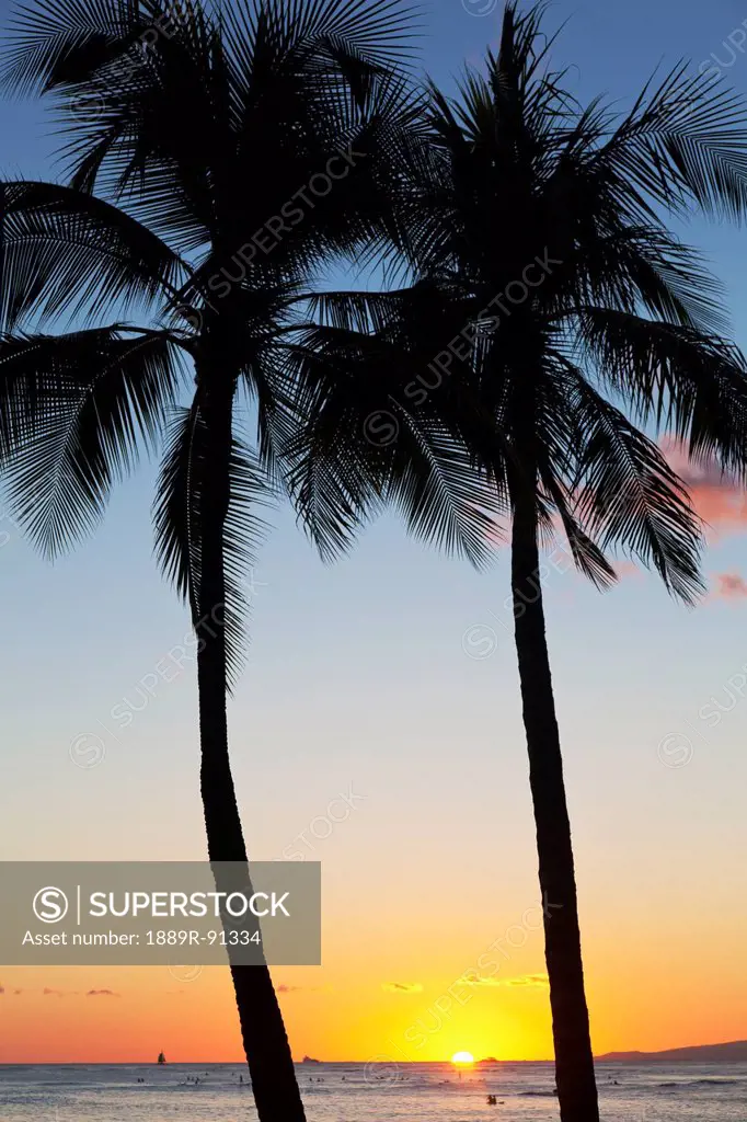 Silhouette of palm trees and the sun setting over the pacific ocean;Oahu hawaii united states of america